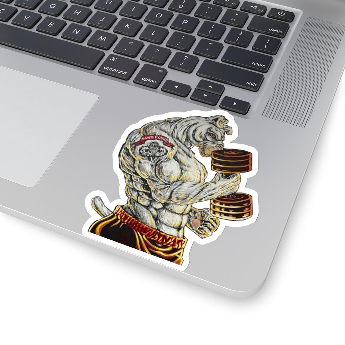 Delta 1-79 Stickers