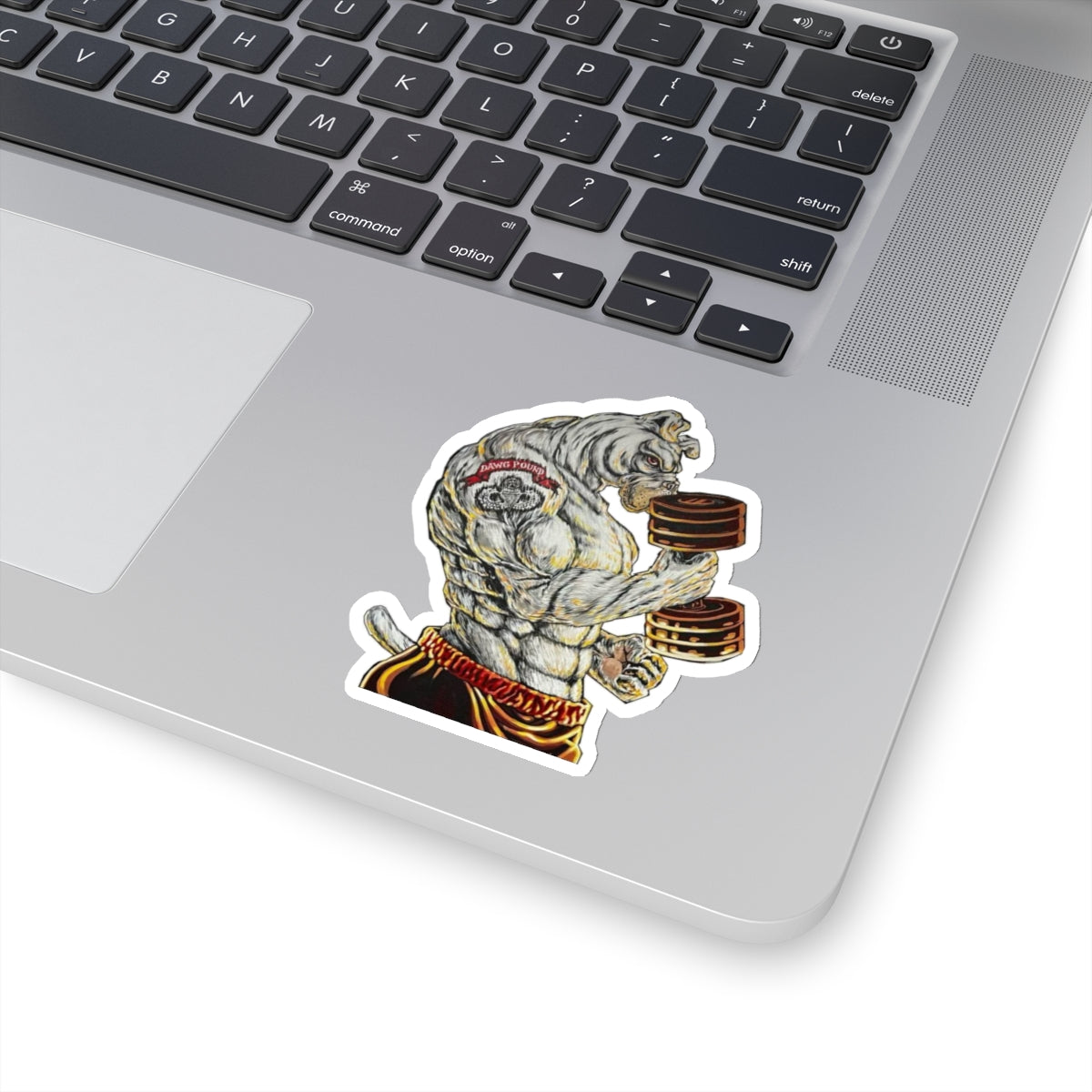 Delta 1-79 Stickers