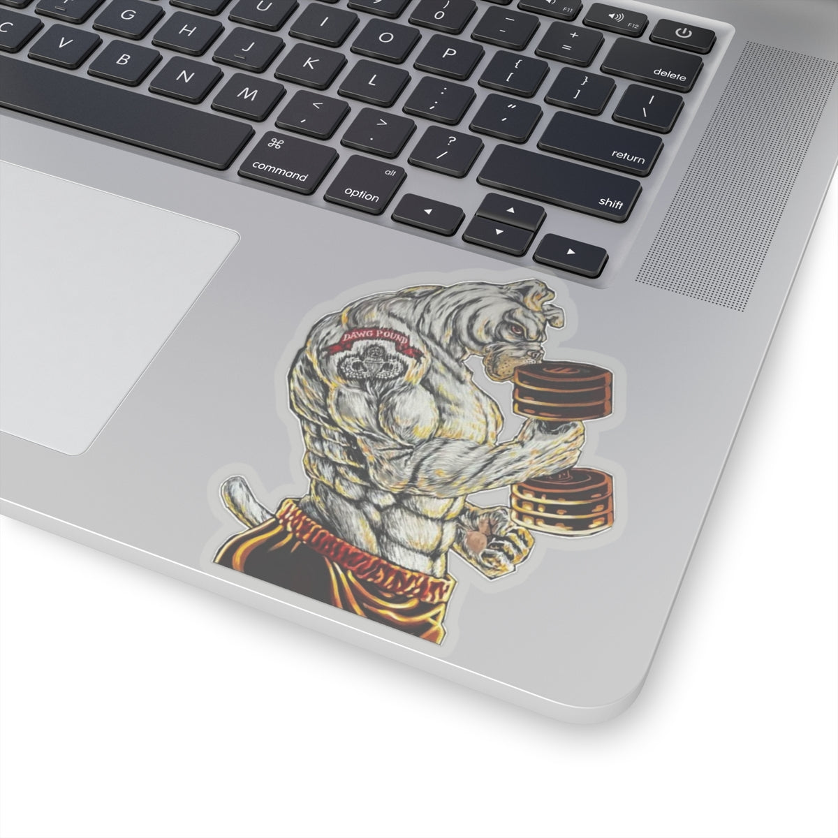 Delta 1-79 Stickers